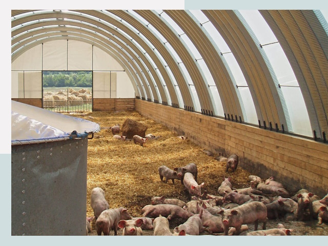 Строительство свинарников в Краснотурьинске