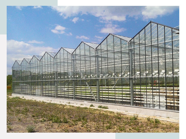 Строительство теплиц в Краснотурьинск от 638 руб. за м²
